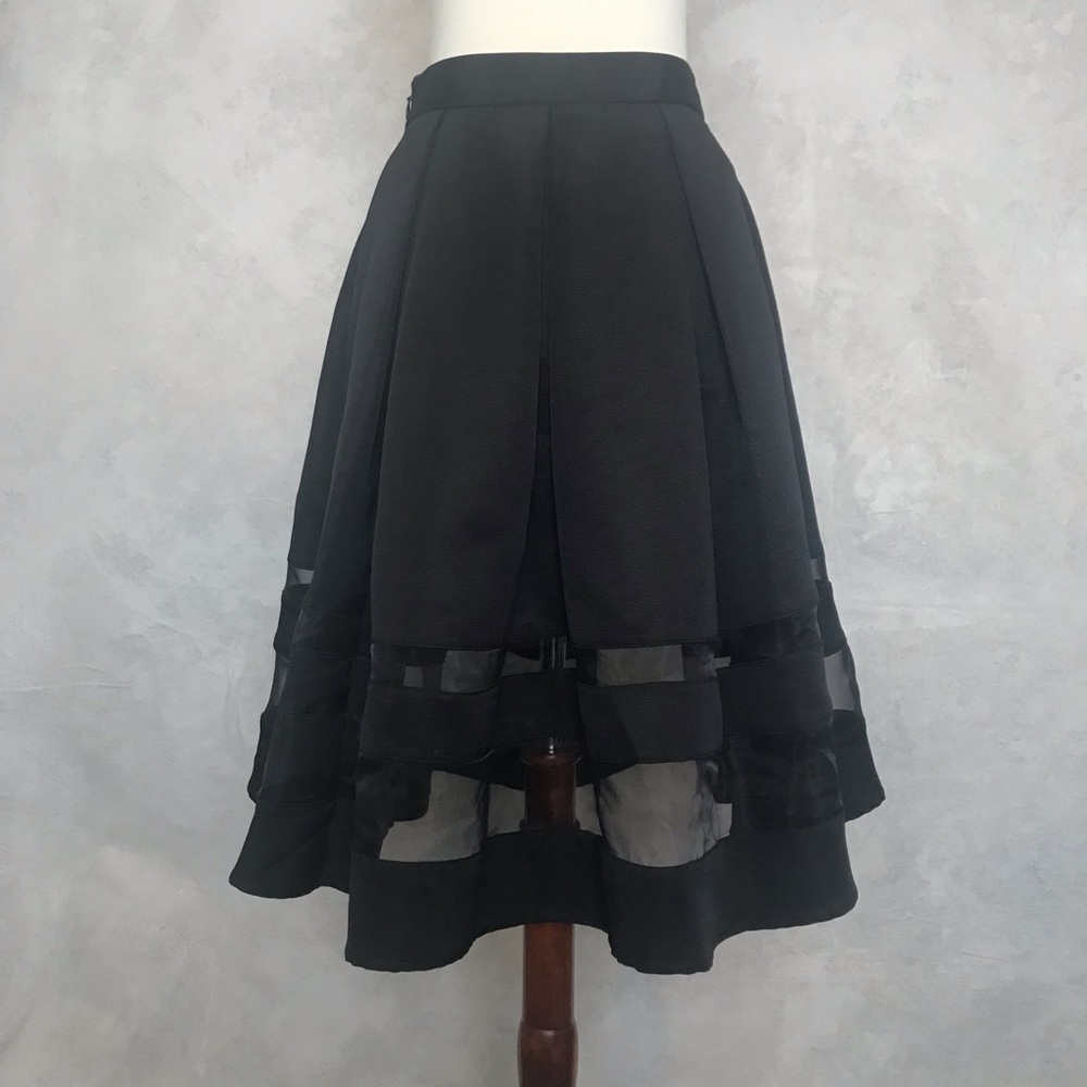 Festive Pleated Skirt with Sheer Panels